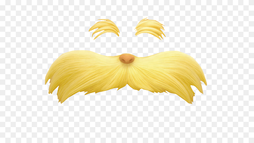The Lorax Eyebrow And Moustache, Flower, Petal, Plant, Animal Free Transparent Png