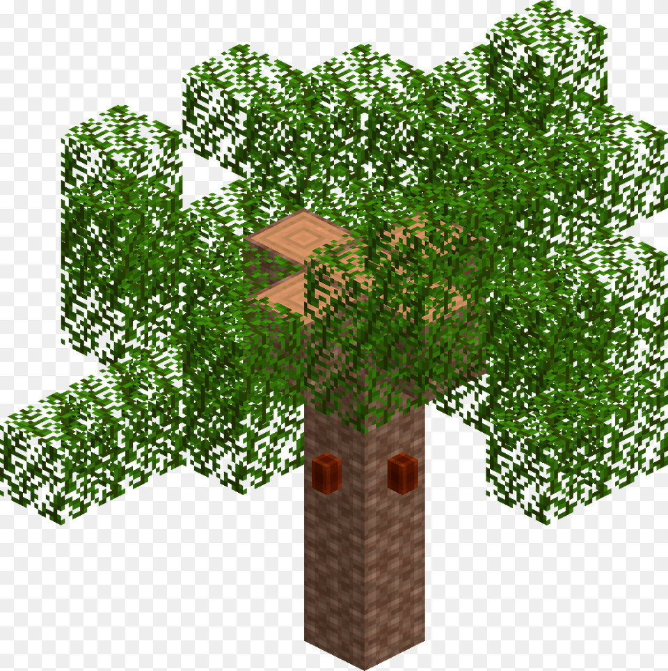 The Lord Of The Rings Minecraft Mod Wiki Grass, Plant, Potted Plant, Tree, Green Free Png Download