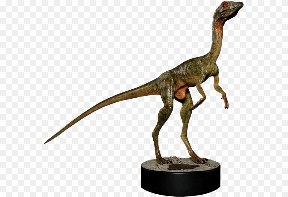 The Lost World Jurassic Park Compsognathus Scale Life Size, Animal, Dinosaur, Reptile, T-rex Free Png Download