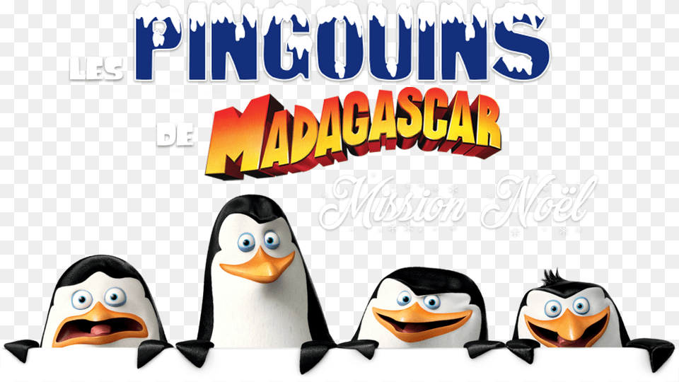 The Madagascar Penguins In A Christmas Caper Image Madagascar Penguins, Animal, Bird, Penguin, Advertisement Free Transparent Png