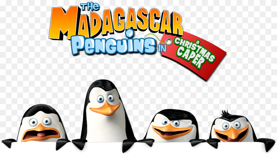 The Madagascar Penguins In A Christmas Caper Image Penguins Of Madagascar, Animal, Bird, Penguin, Face Free Transparent Png