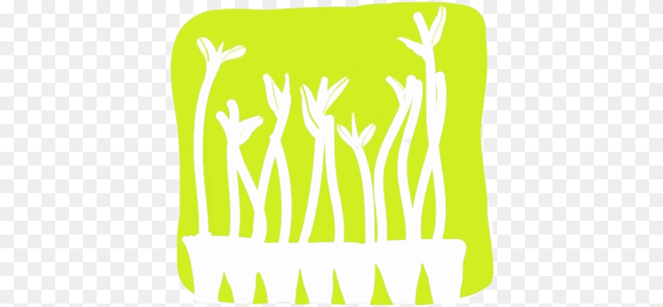 The Mangrove Project Projectmangrove Twitter Illustration, Bean Sprout, Food, Plant, Produce Free Png