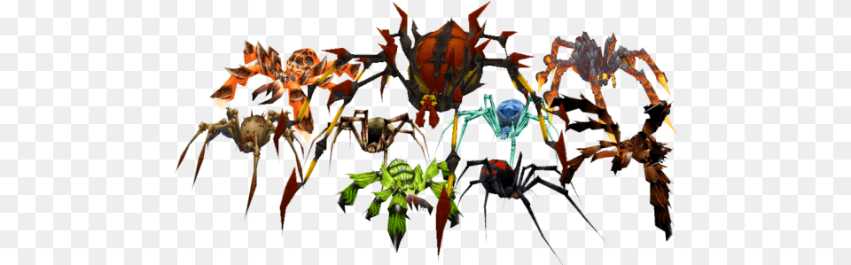 The Many Species Of Spider Appearing In World Of Warcraft Elemental Spiders, Accessories, Animal, Invertebrate, Pattern Free Png Download