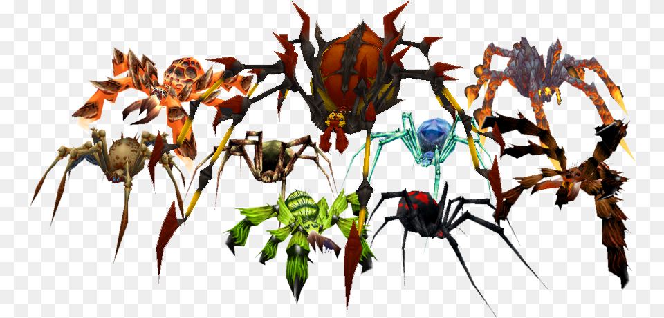The Many Species Of Spider Appearing In World Of Warcraft World Of Warcraft Spider Pets, Accessories, Pattern, Plant, Wasp Free Png