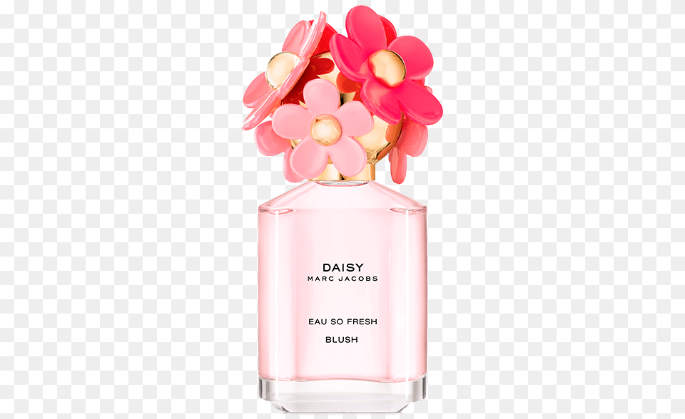 The Marc Jacobs Daisy Dream Blush Edition Is An Airy Marc Jacobs Perfume Daisy Blush, Bottle, Cosmetics, Shaker Png Image