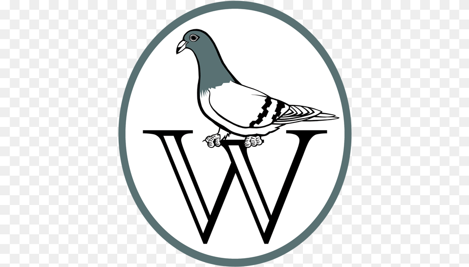 The Mcluhan Institute Logo Design Painting, Animal, Bird, Pigeon, Dove Free Png