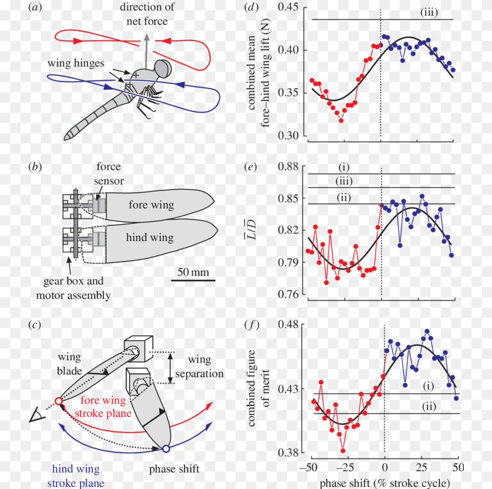 The Mechanical Dragonfly And Results Derived From Force Dragonfly Wing To Body Ratio, Chart, Plot, Cad Diagram, Diagram Png