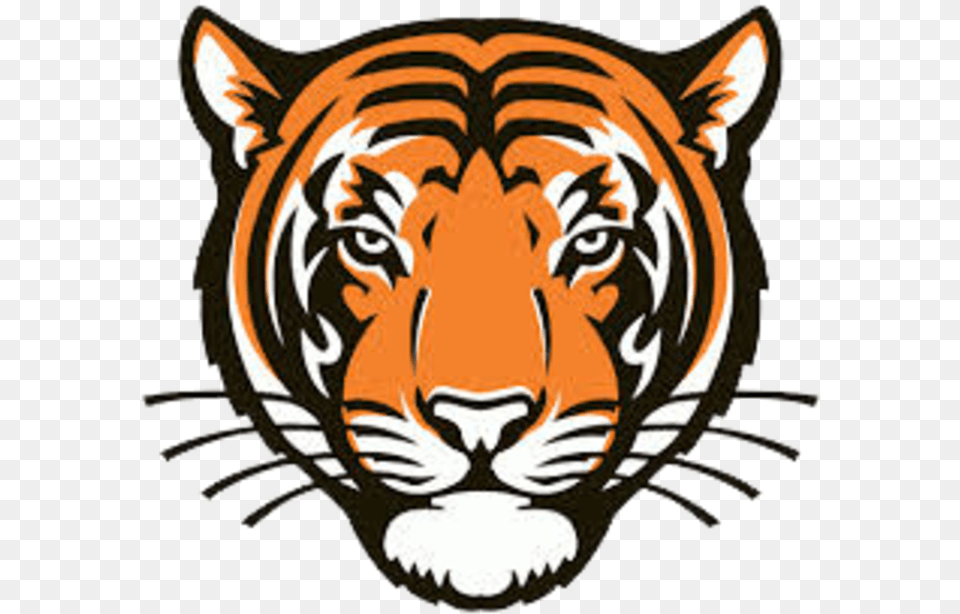 The Meigs County Tigers Princeton Tigers Logo Transparent, Animal, Mammal, Tiger, Wildlife Free Png Download
