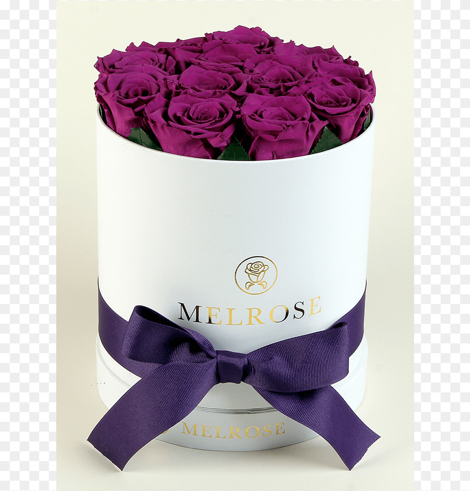 The Melrose Small Round Box Purple Girl, Flower, Flower Arrangement, Flower Bouquet, Plant Free Transparent Png