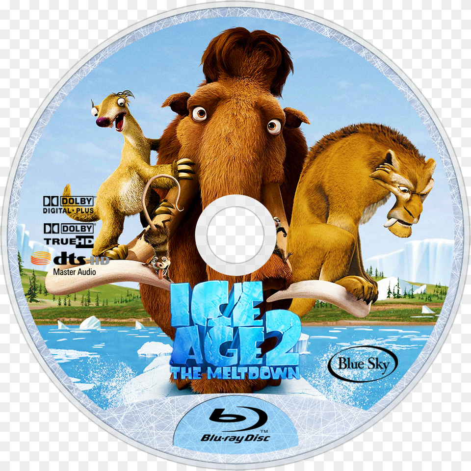 The Meltdown Dvd Disc Image, Disk, Animal, Bear, Mammal Png