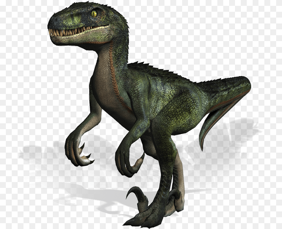 The Memphis Zoo Animal Figure, Dinosaur, Reptile, T-rex Png Image