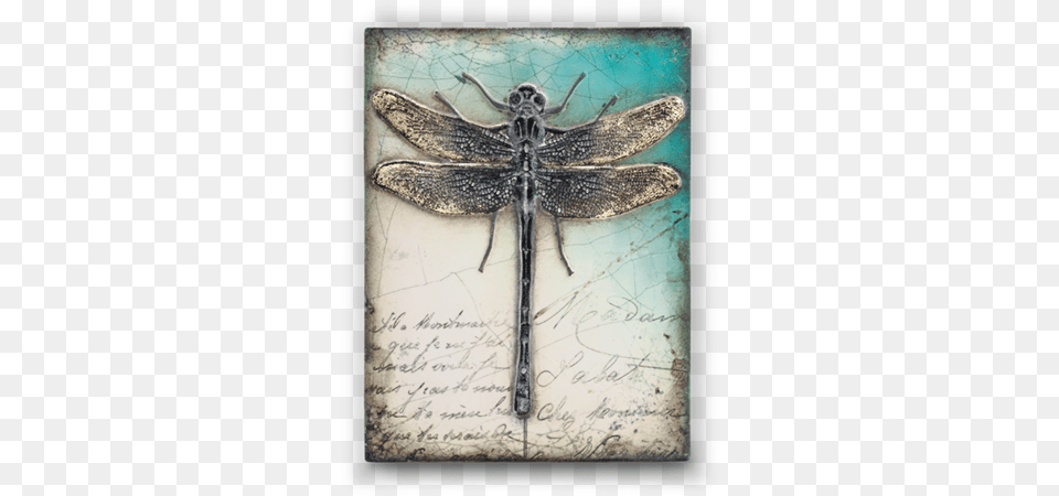 The Messenger Pink Back Sid Dickens Dragonfly, Animal, Insect, Invertebrate Png