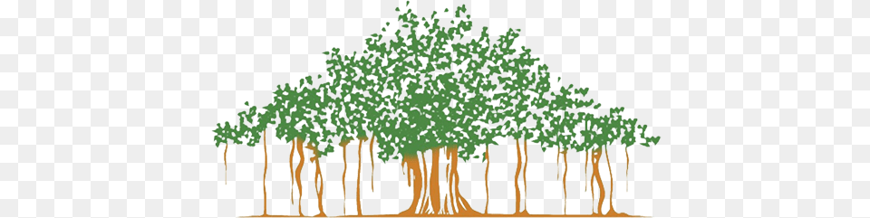 The Mighty Banyan Tree A Banyan Tree Vector, Vegetation, Plant, Woodland, Outdoors Free Png