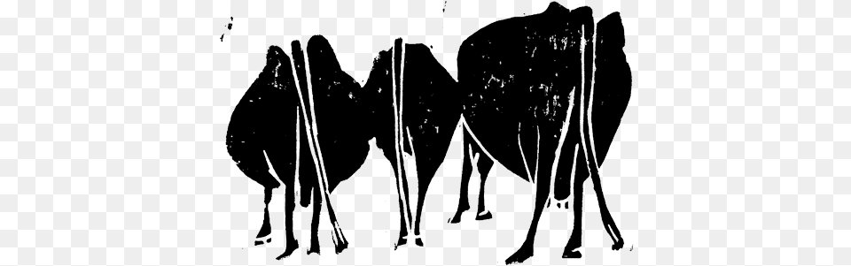 The Milk And Human Kindness Human, Animal, Mammal, Camel, Cattle Png