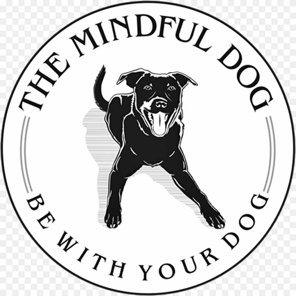 The Mindful Dog Kasetsart University, Animal, Canine, Mammal, Pet Png
