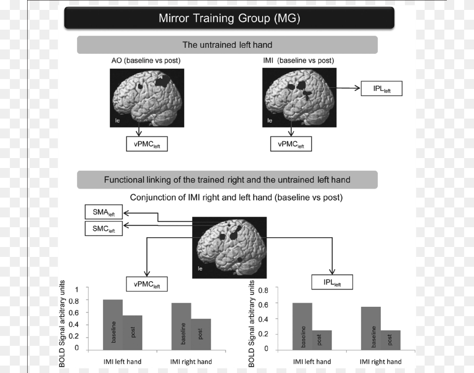 The Mirror Training Group Diagram Free Png Download