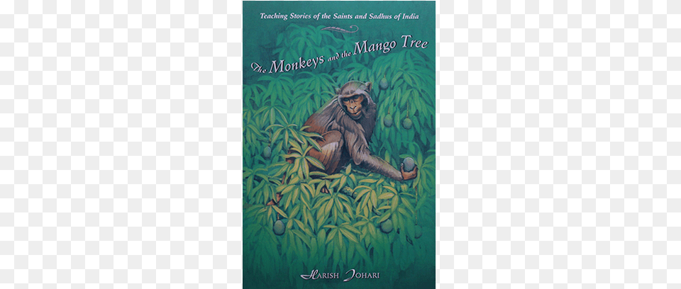 The Monkeys And The Mango Tree Monkeys And The Mango Tree, Nature, Jungle, Vegetation, Plant Png