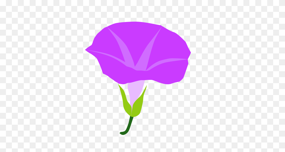 The Morning Glory Morning Sun Icon With And Vector Format, Flower, Petal, Plant, Purple Free Png