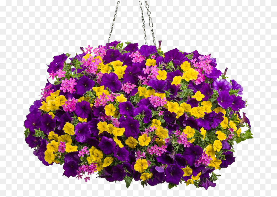 The Mustard Seed, Flower, Flower Arrangement, Flower Bouquet, Geranium Free Png Download