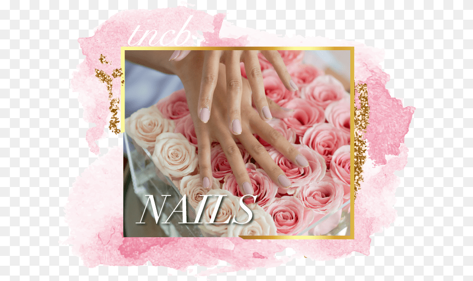 The Nail And Champagne Bar U2014 Home Garden Roses, Body Part, Flower, Hand, Person Free Png