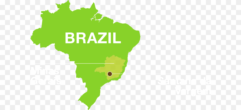 The Name Of Brazil S Fourth Largest State Minas Gerais Minas Gerais Clipart, Vegetation, Tree, Rainforest, Plot Free Png