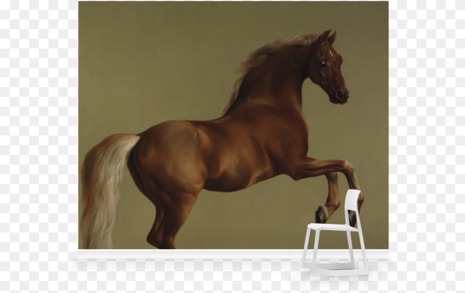 The National Gallery Shop, Animal, Colt Horse, Horse, Mammal Free Png