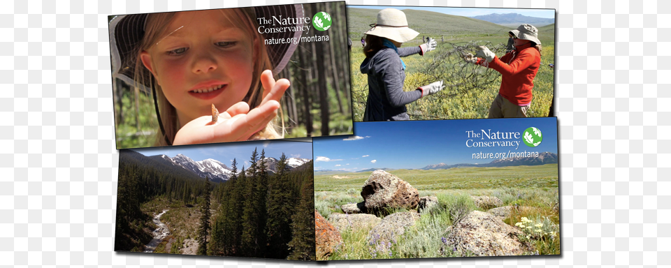 The Nature Conservancy Tv Spot Uses Cm Footage Photomontage, Adult, Person, Outdoors, Tree Free Png