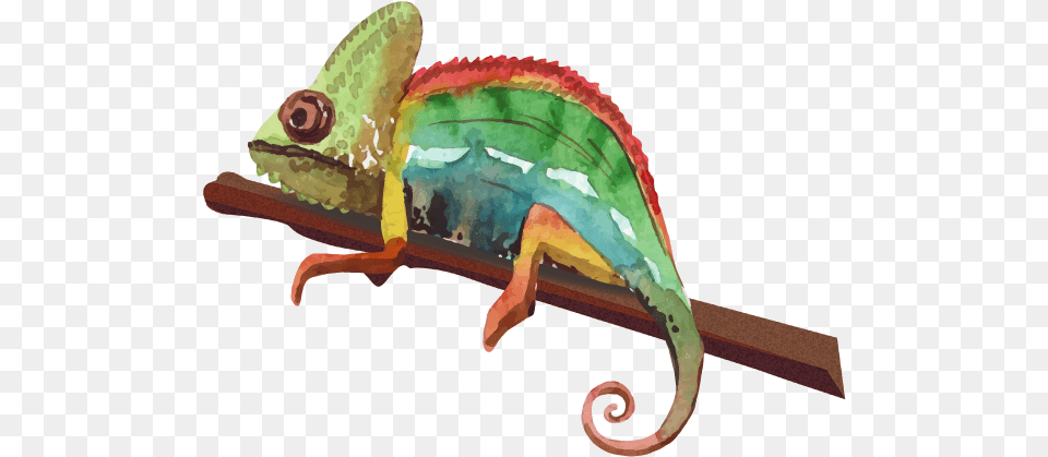 The Need To Adapt, Animal, Lizard, Reptile, Iguana Free Transparent Png