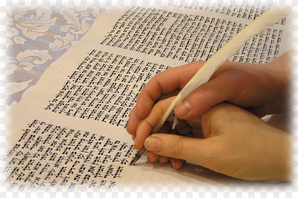 The New Torah Is The First In Texas Written By Woman Congregation Agudas Achim Torah, Body Part, Finger, Hand, Person Free Png Download