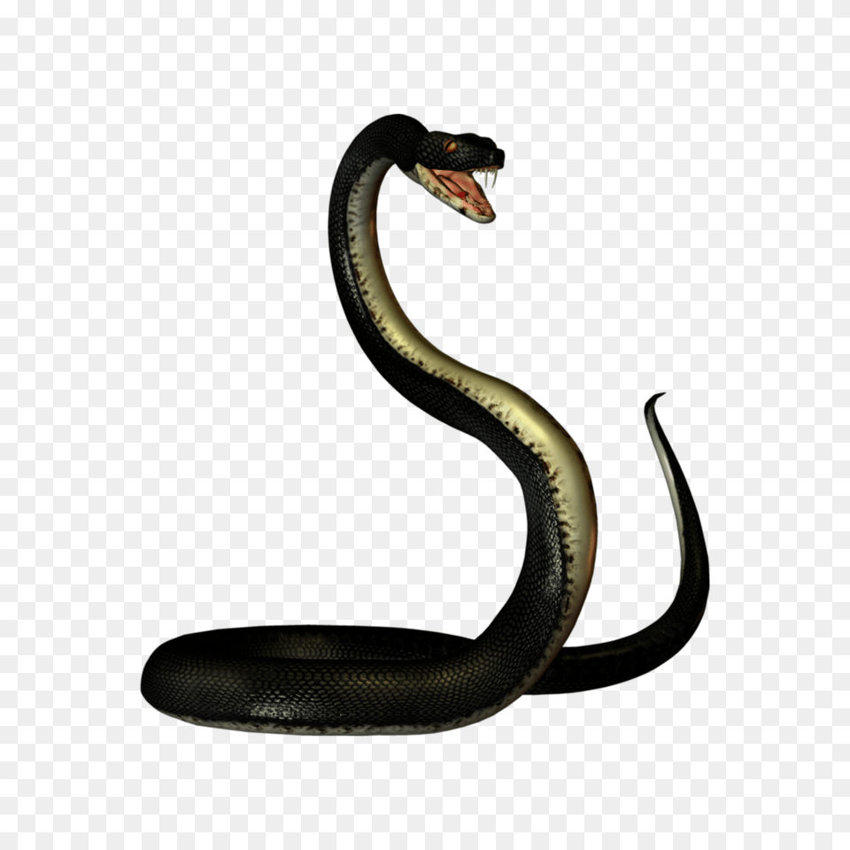 The Newest Cobra Galle Stickers, Animal, Reptile, Snake Free Png Download