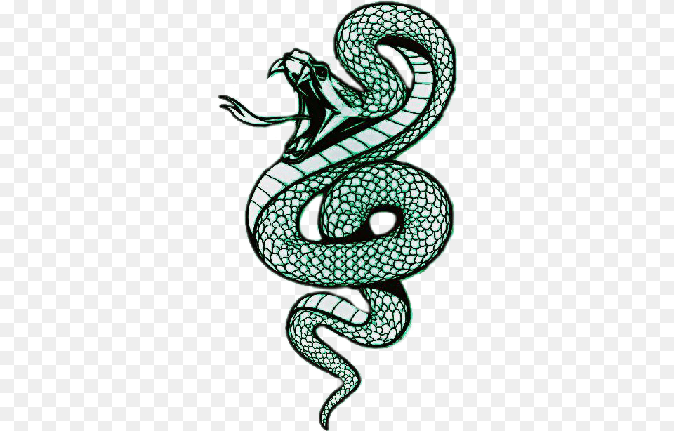 The Newest Slytherin Stickers, Animal, Bird Png Image