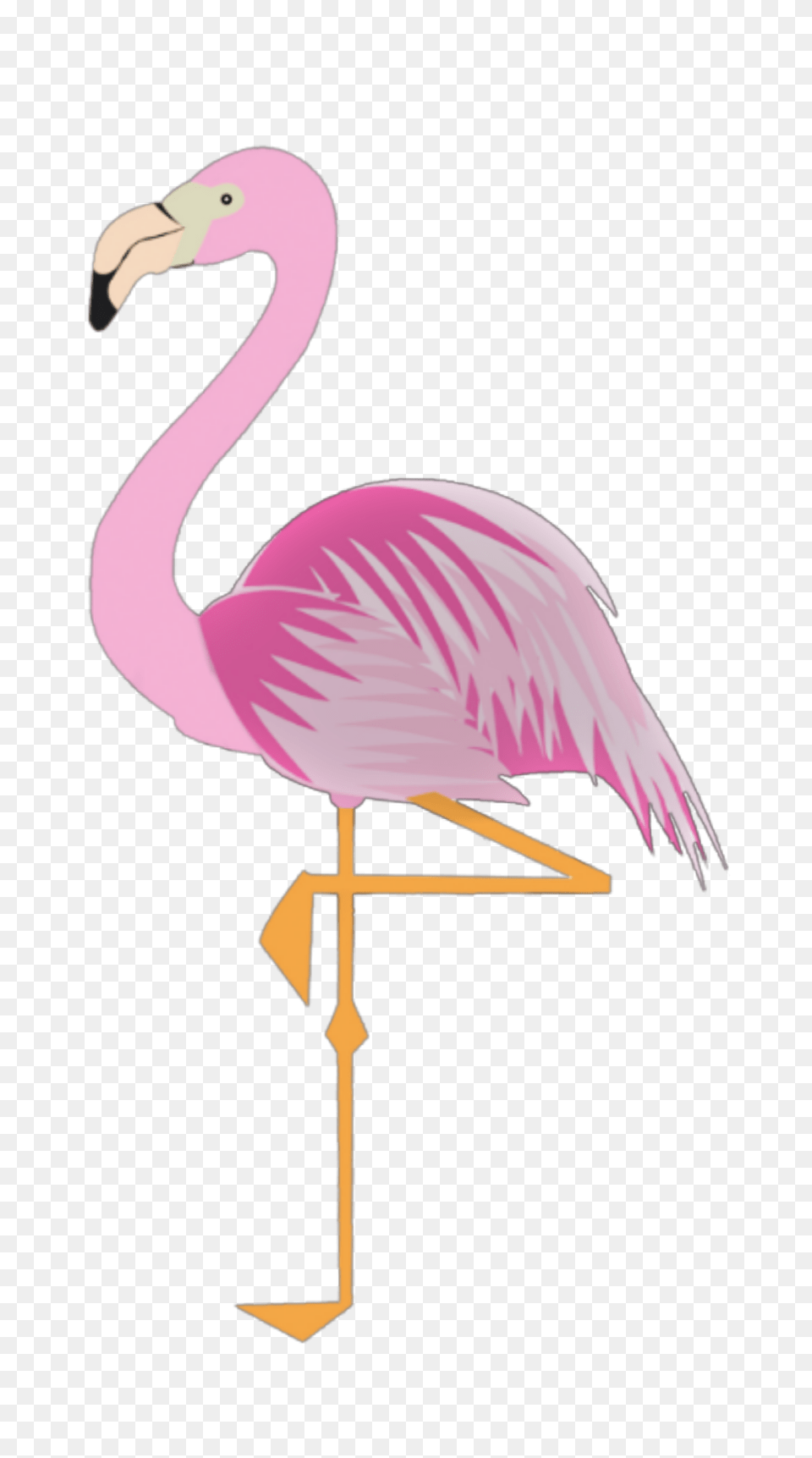 The Newest Stickers, Animal, Bird, Flamingo Free Png Download