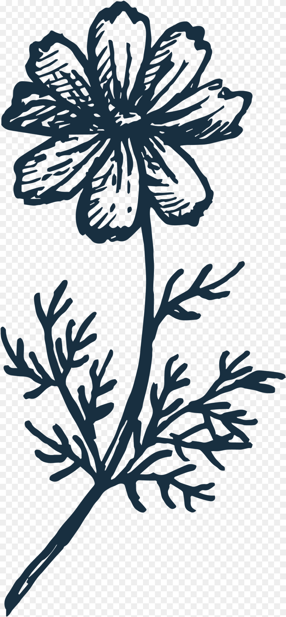 The Number One Reason To Buy Original Art U2014 Kara Valentino Flower, Plant, Pattern, Graphics, Outdoors Free Transparent Png