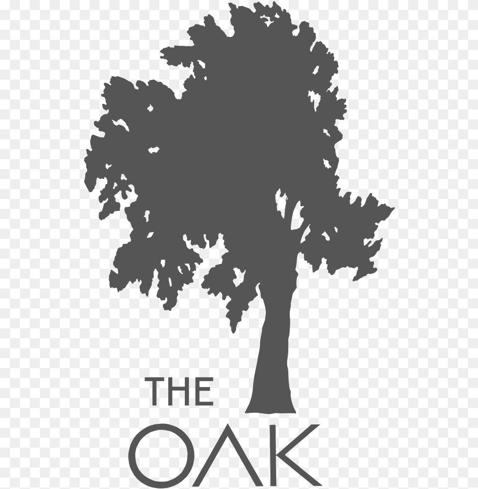 The Oak, Plant, Tree, Silhouette, Stencil Png Image