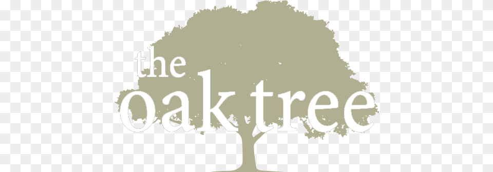 The Oak Tree Life Lessons From The Bible Book, Plant, Outdoors, Vegetation, Nature Free Png Download