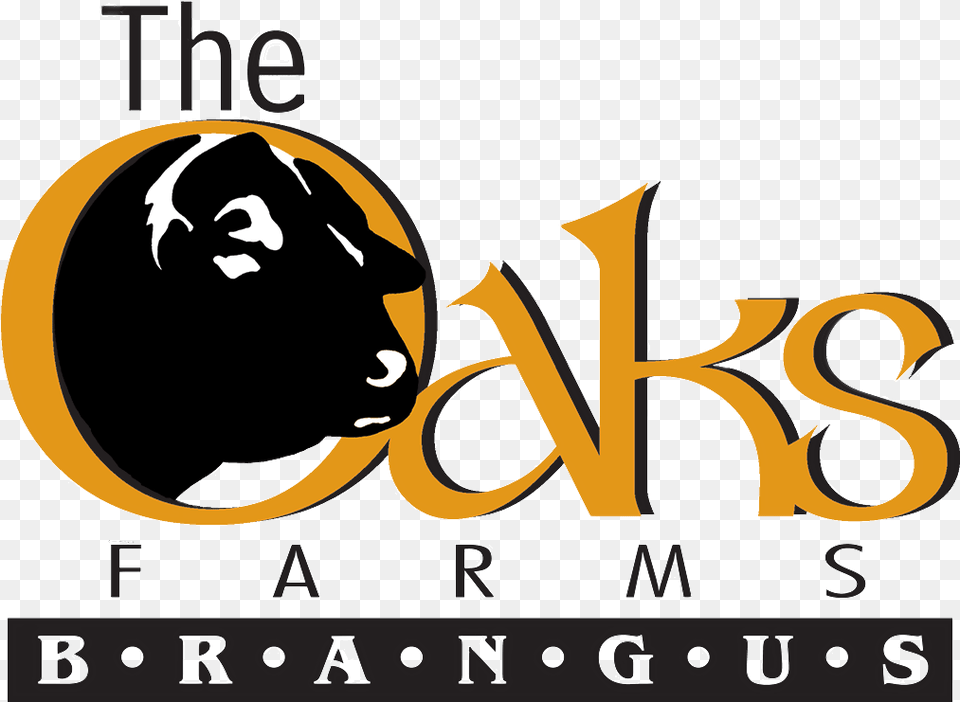 The Oaks Farm Brangus Dot, Logo, Baby, Person, Face Free Transparent Png