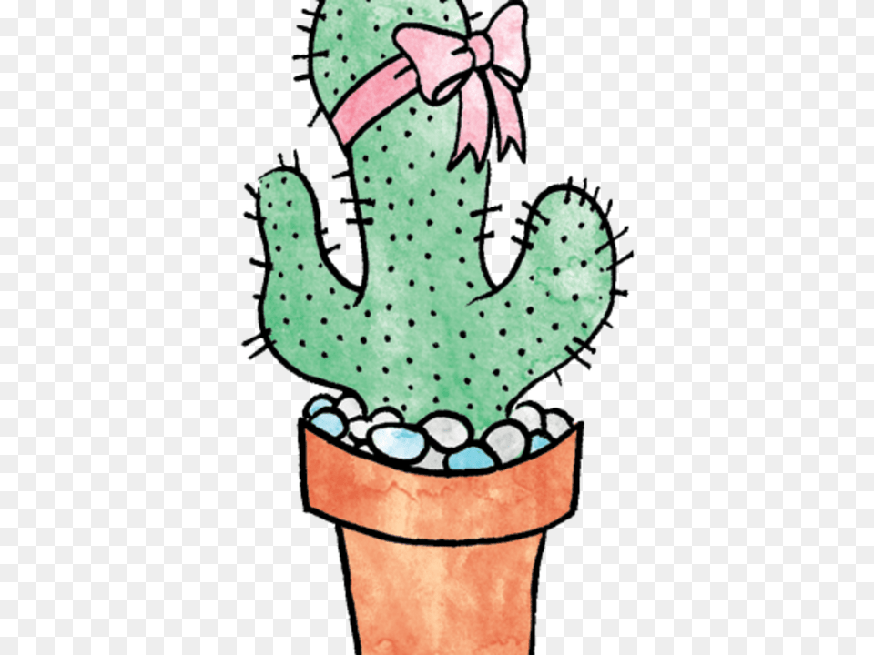 The Odd Flowerthe Other Cactus, Plant, Person Free Transparent Png