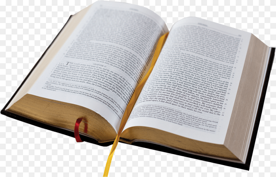 The Old And New Testaments Holy Bible No Background, Book, Page, Person, Publication Free Transparent Png