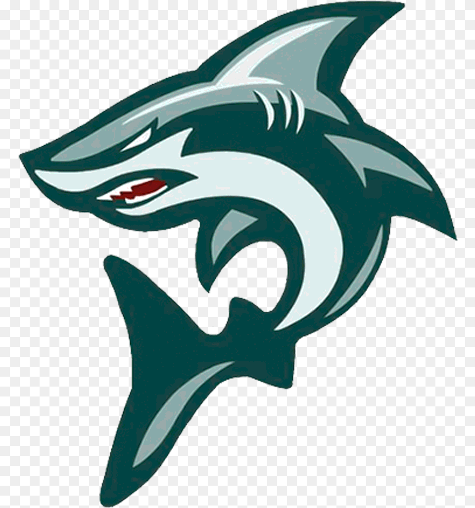 The Olinda Sharks Scorestream American Football, Animal, Sea Life, Fish, Shark Png