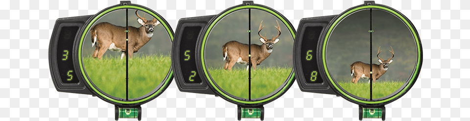 The Oracle Advantage Garmin Xero Bow Sight, Photography, Animal, Mammal, Deer Free Transparent Png