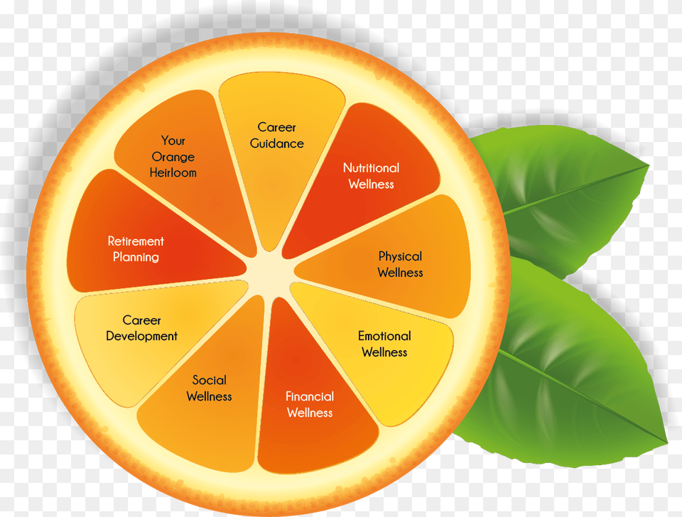 The Orange Life Live The Orange Life, Citrus Fruit, Food, Fruit, Grapefruit Png