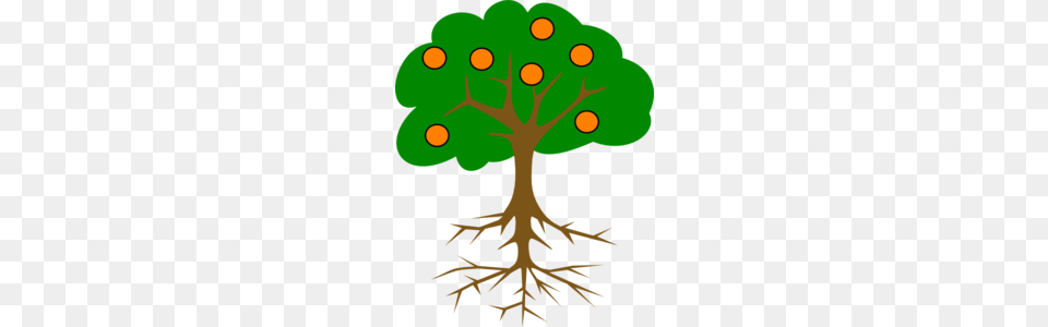 The Orange Tree Clip Art, Plant, Root, Animal, Bear Free Png