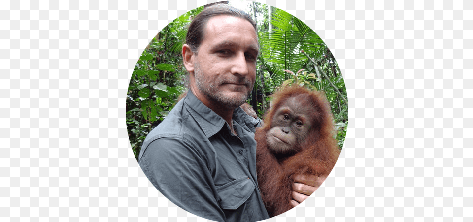 The Orangutan Project Was Established In 1998 By Founder Leif Cocks, Nature, Person, Photography, Plant Png