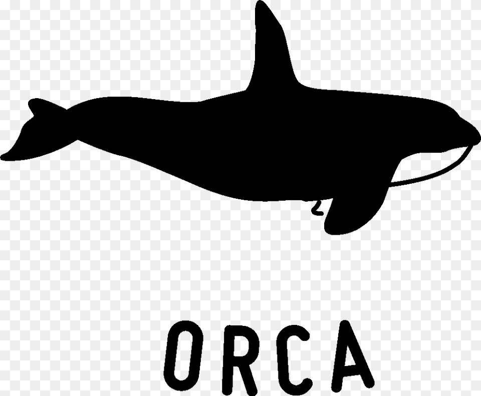 The Orca, Silhouette, Animal, Fish, Sea Life Png