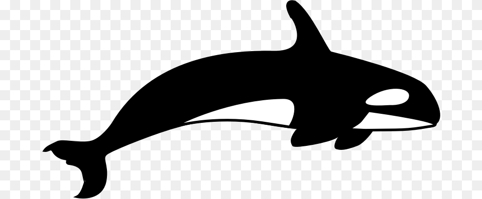 The Orca Killer Whale Clipart Black And White, Silhouette Free Transparent Png