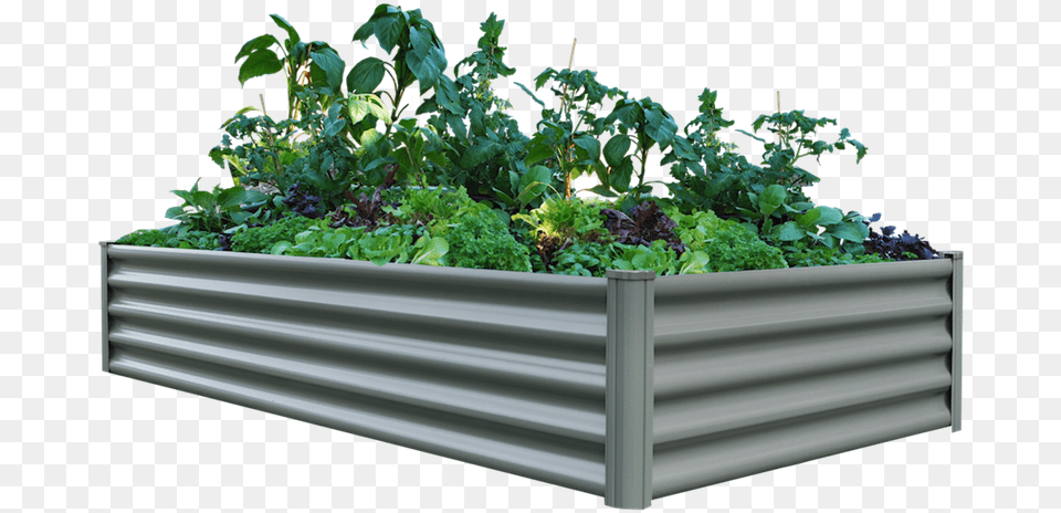 The Organic Garden Co 200 X 100 41cm Raised Rectangle Bunnings Raised Garden Bed, Jar, Plant, Planter, Potted Plant Free Png Download