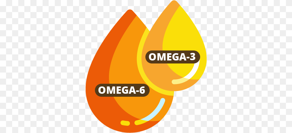The Original E H39s Menu Serving Nature39s Best Hemp Omega 3 Logo, Food, Fruit, Plant, Produce Free Png