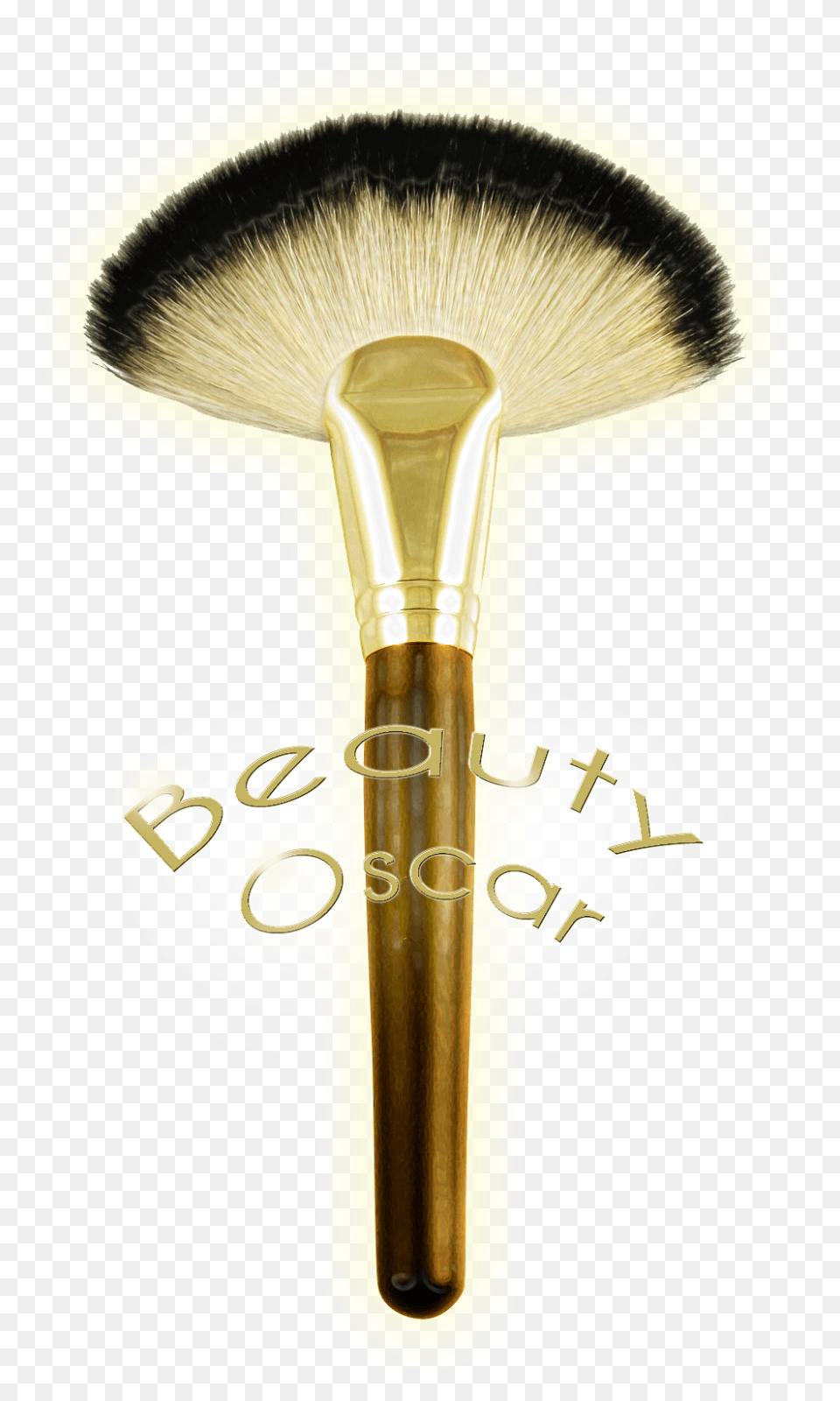 The Oscar, Brush, Device, Tool, Person Free Png