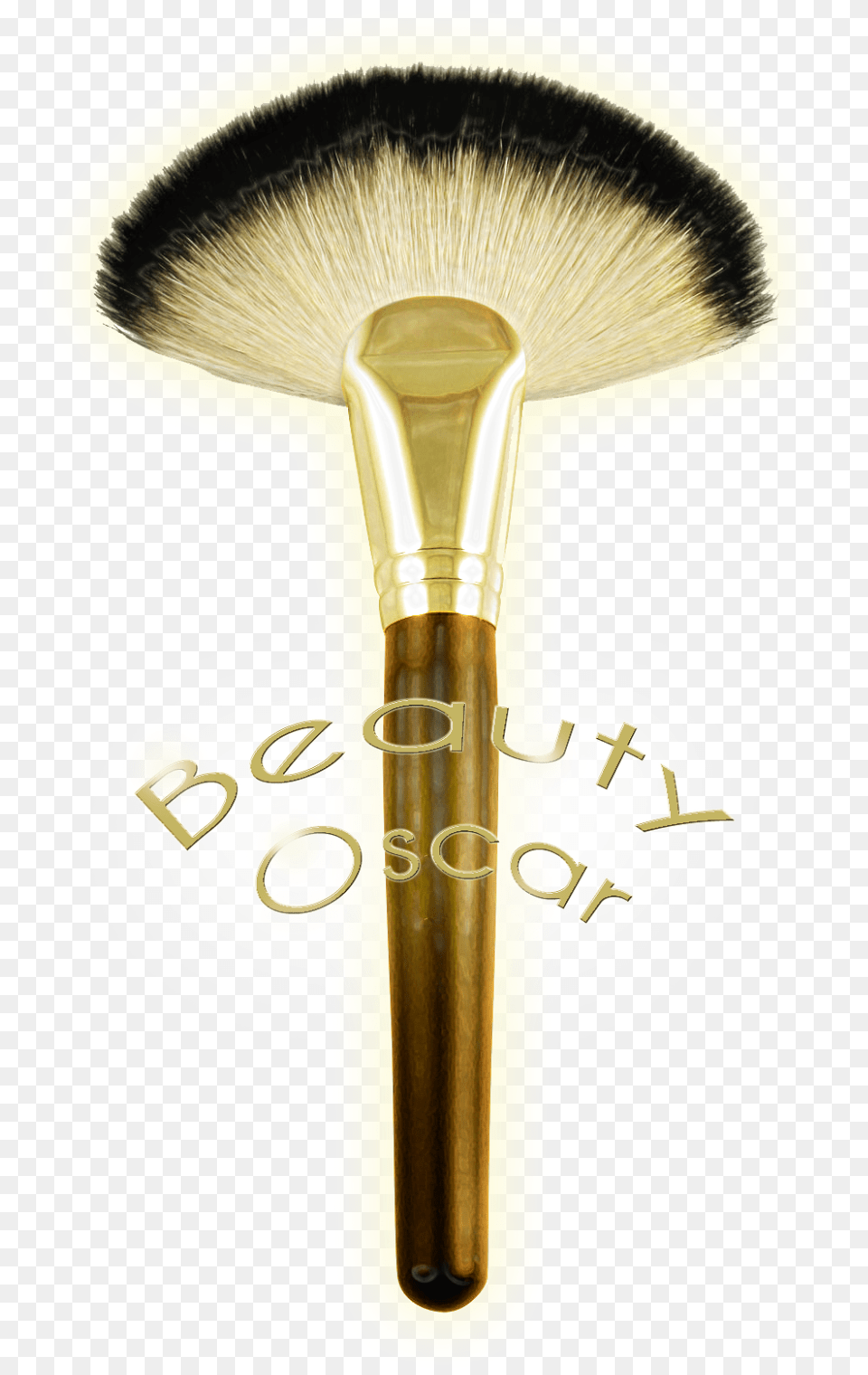 The Oscars, Brush, Device, Tool, Person Free Transparent Png