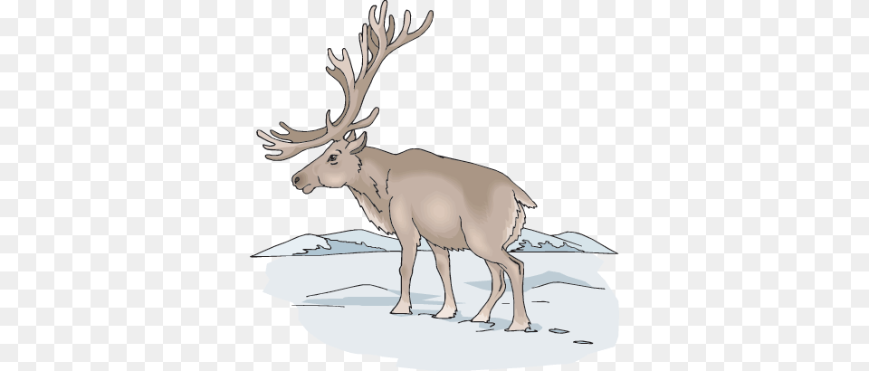 The Other North American Members Of The Deer Family Cartoon, Animal, Elk, Mammal, Wildlife Free Transparent Png